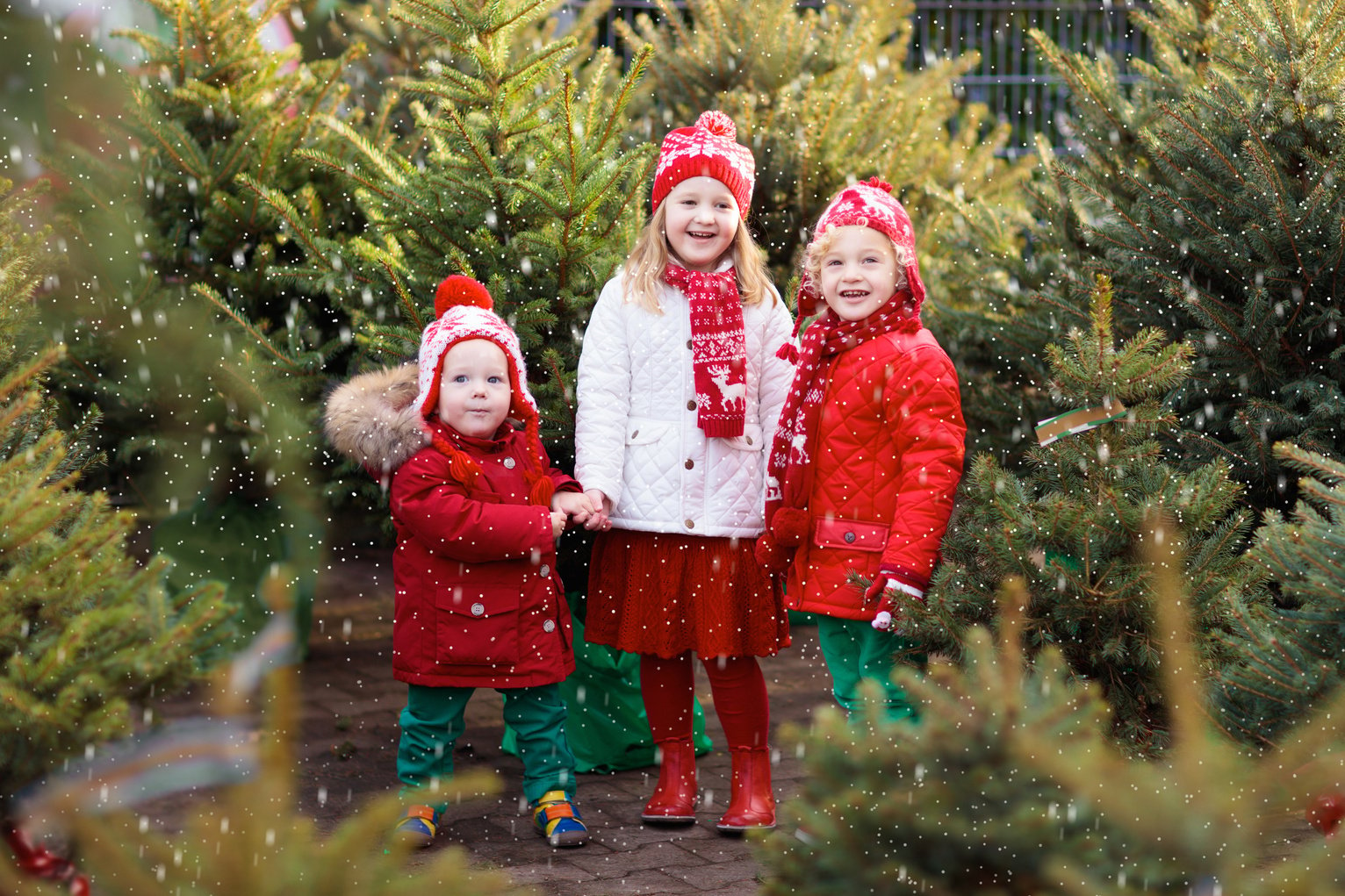 Kids buying Christmas tree